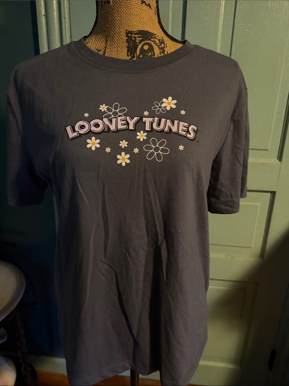 Looney Tunes Women's Short Sleeve Tee in Dark Gray with Pink & Yellow